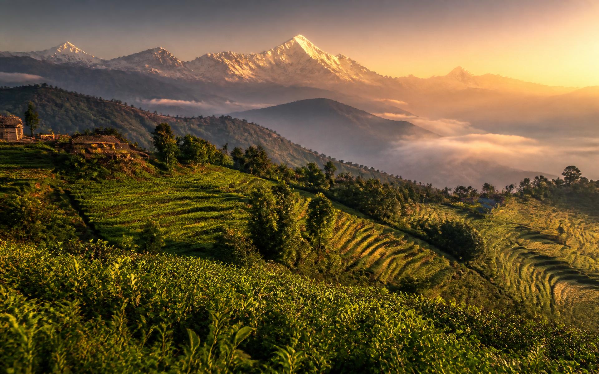 Himalayan terraces at golden hour